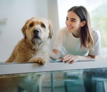 Tierphysiotherapie - Hannover