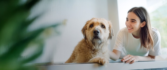 Tierphysiotherapie - Berlin